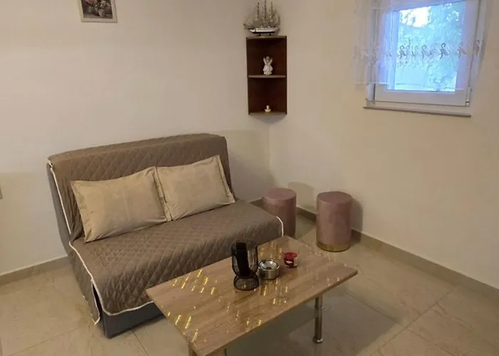 Apartment Plavsic *