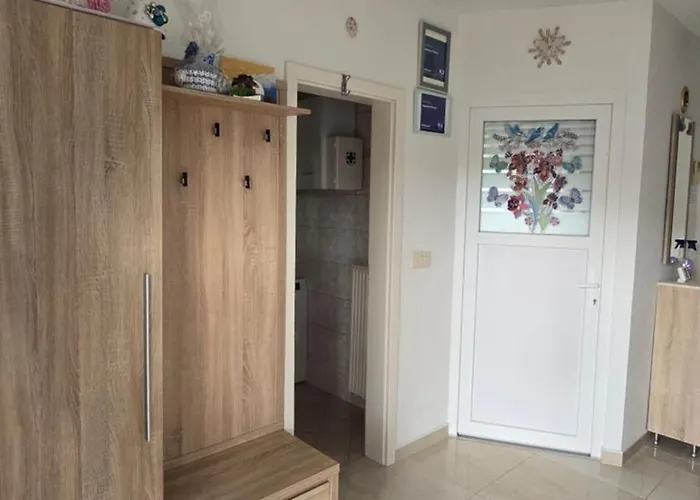 Apartment Plavsic