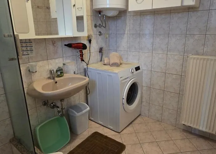 Apartment Plavsic