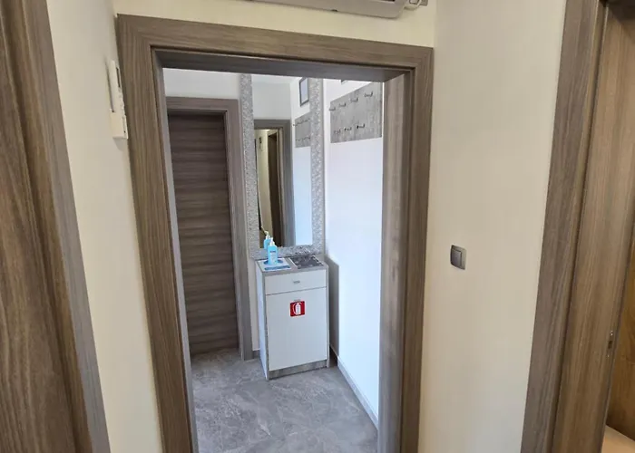 Plavsic Novi Vinodolski