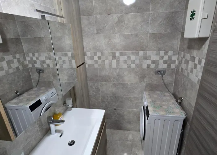 Plavsic Apartment