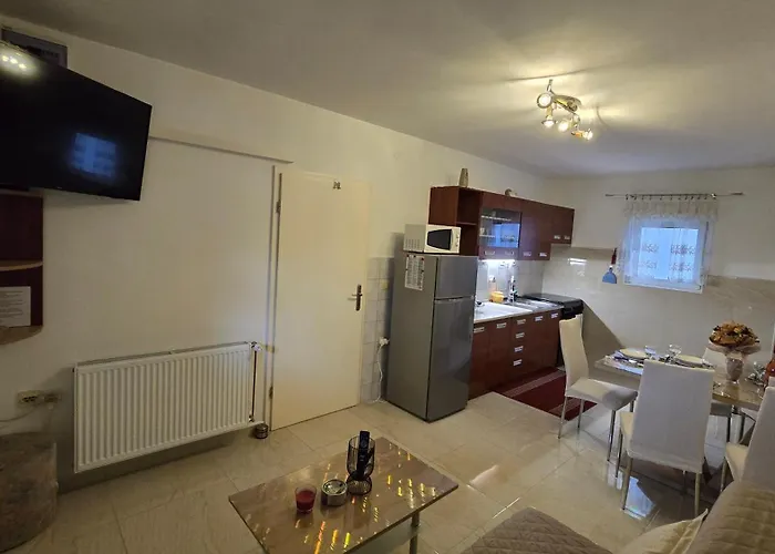 Plavsic Apartment
