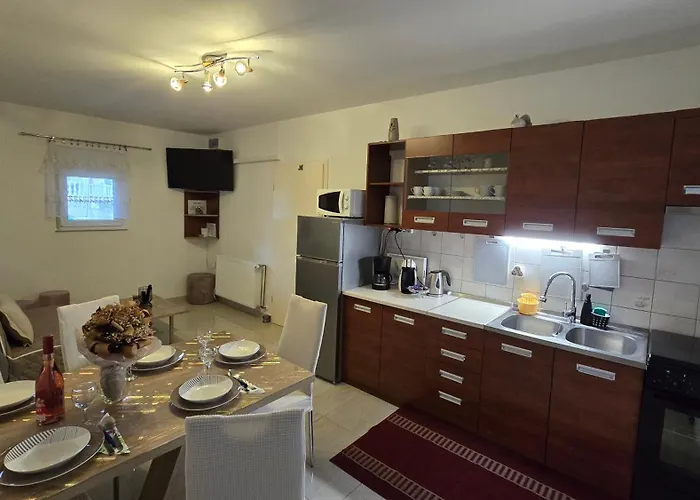 Apartment Plavsic