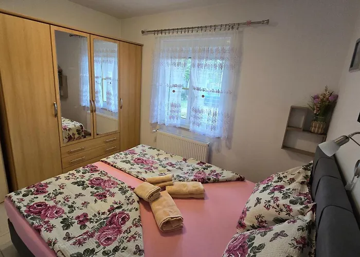 Plavsic Novi Vinodolski