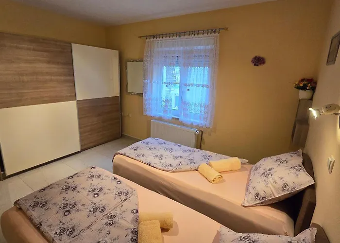 Plavsic Apartment
