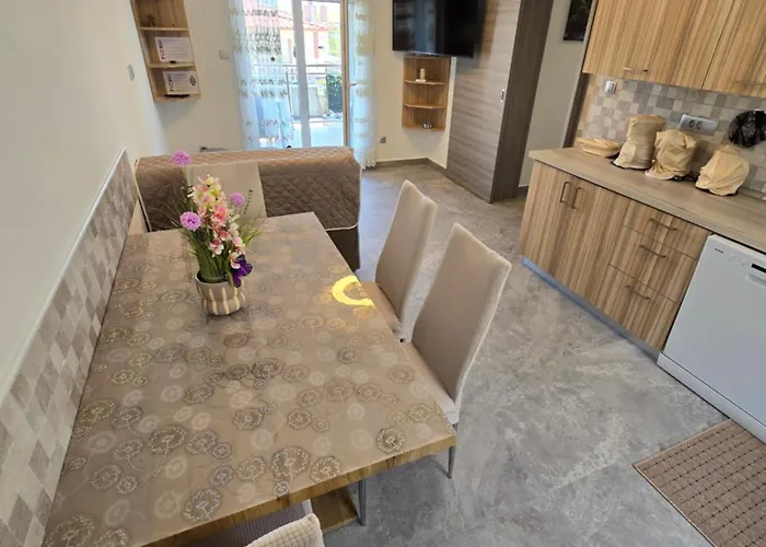 Apartment Plavsic