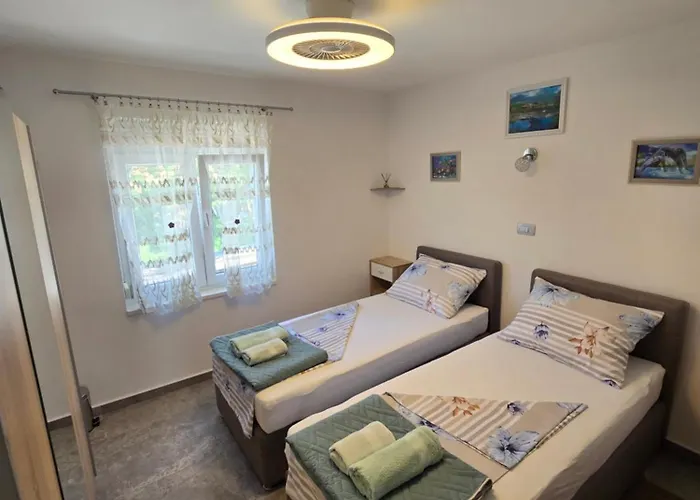 Apartment Plavsic *
