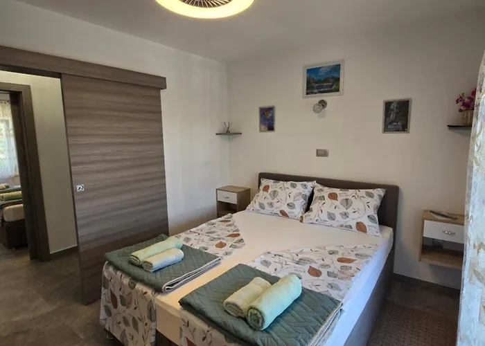 Plavsic Novi Vinodolski
