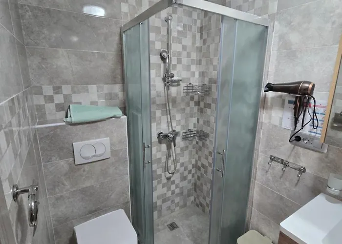 Plavsic Apartament *